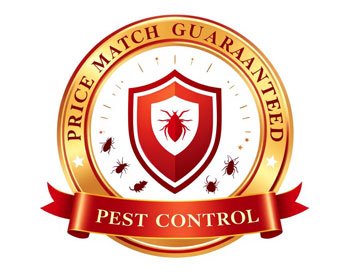 Affordable Pest Control Services in Canada