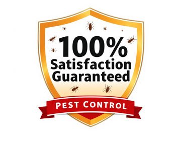 Pest Control in Canada with 100% Satisfaction Guarantee